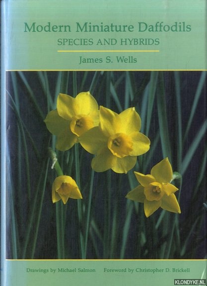 Wells, James S. & Michael Salmon (Drawings) & Christopher D. Brickell (Foreword) - Modern Miniature Daffodils