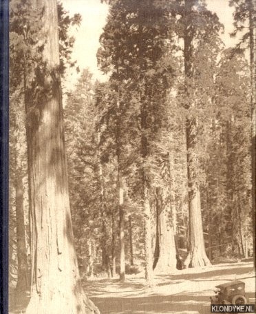 Andriesse, Paul - Some trees