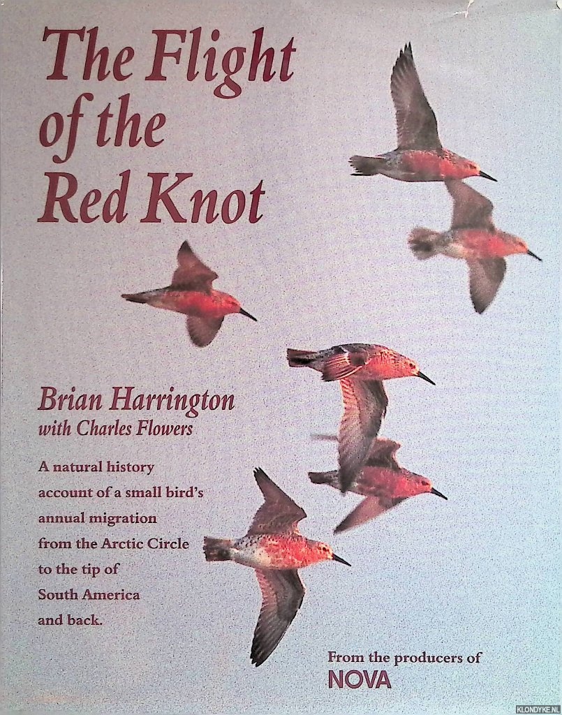 Harrington, Brian & Charles Flowers - Flight of the Red Knot. A Natural History Account of a Small Bird's Annual Migration from the Arctic Circle to the Tip of South America and Back