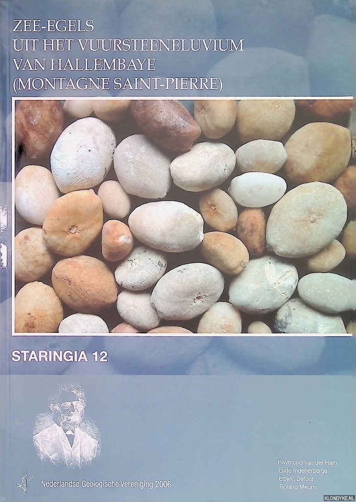 Ham, Raymond van der - e.a. - Staringia 12: zee-egels uit het vuursteeneluvium van Hallembaye (Montagne Saint-Pierre)
