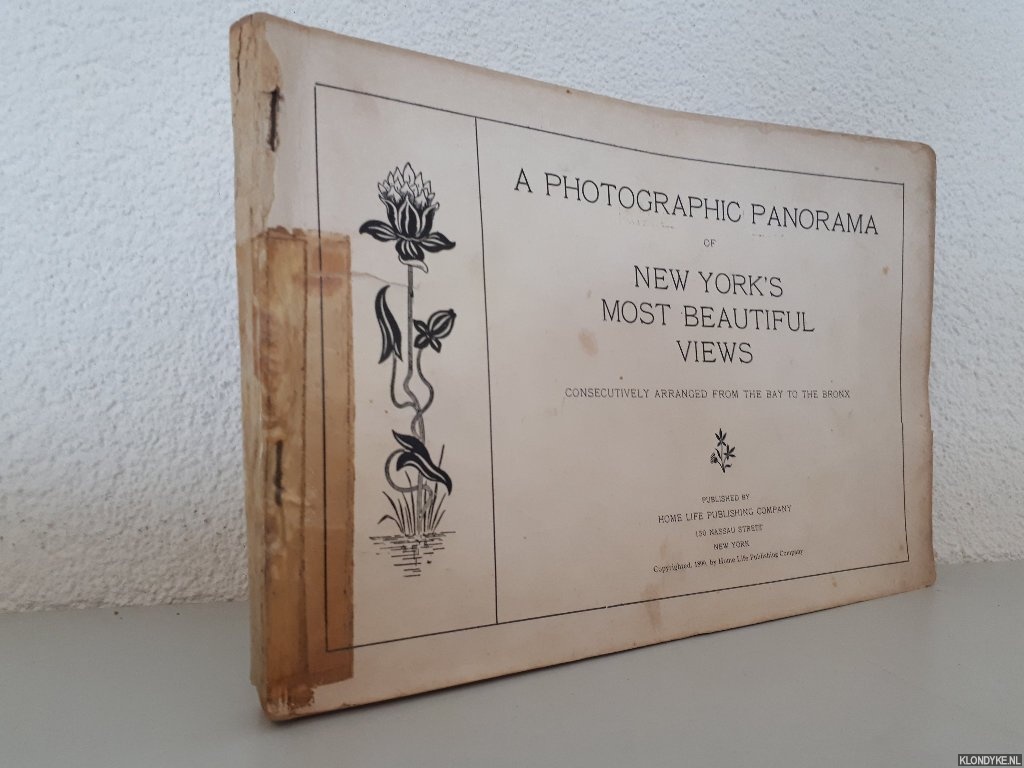 Various - Photographic Panorama New York's Most Beautiful Views. Consecutively arranged from the Bay to the Bronx
