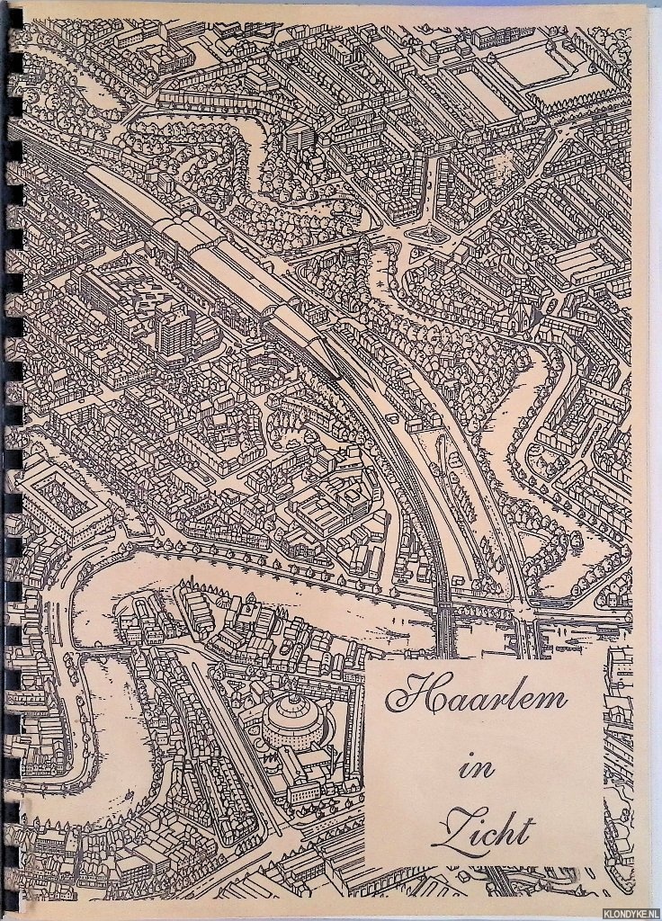 Vijn, Henk - Haarlem in zicht