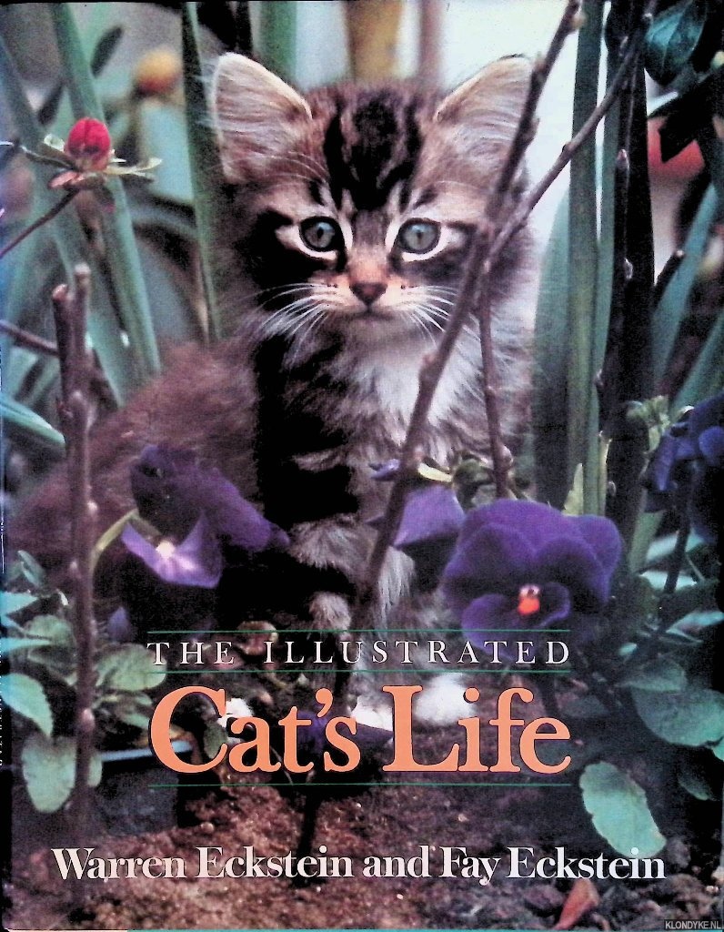 Eckstein, Warren - The Illustrated Cat's Life