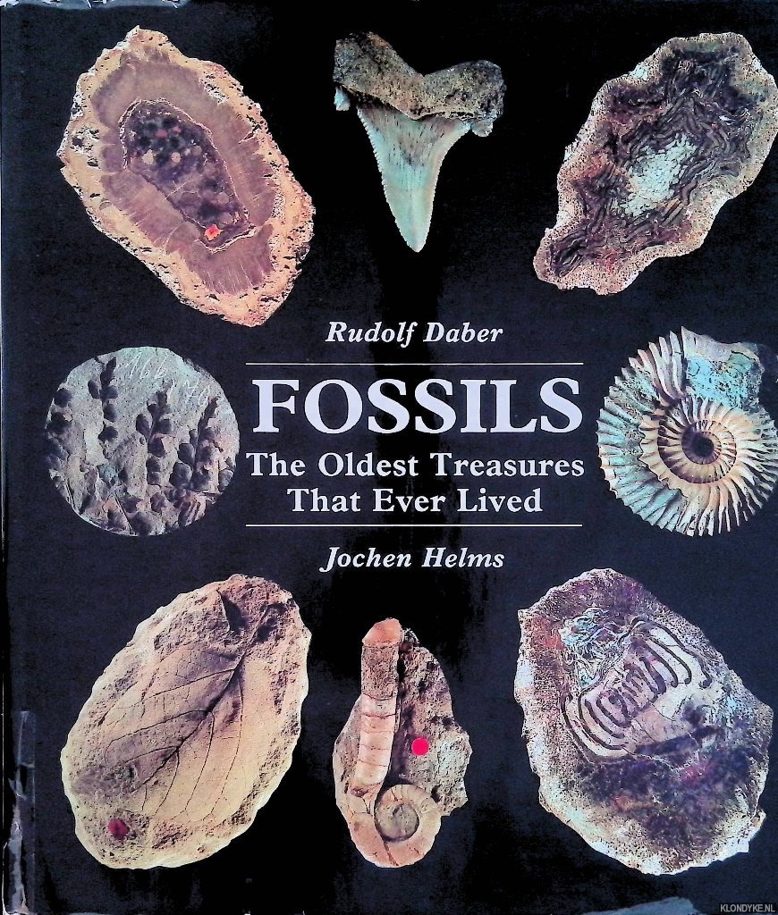 Daber, Rudolf & Jochen Helms - Fossils: The Oldest Treasures That Ever Lived