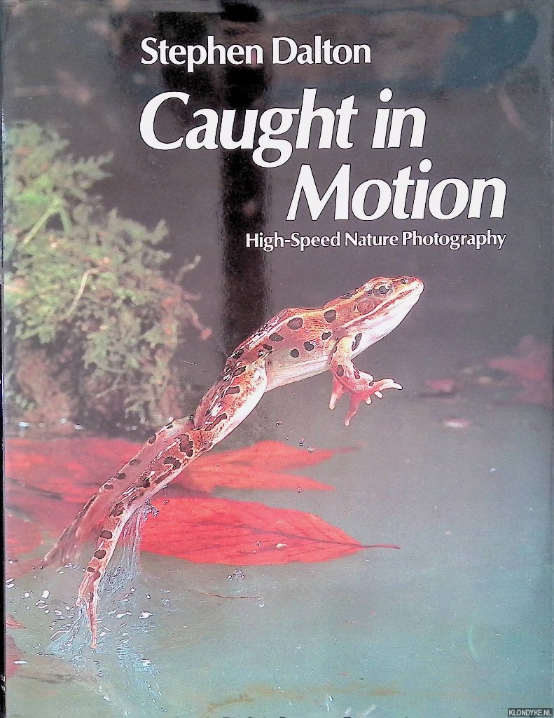 Dalton, Stephen - Caught in motion, high speed nature photography
