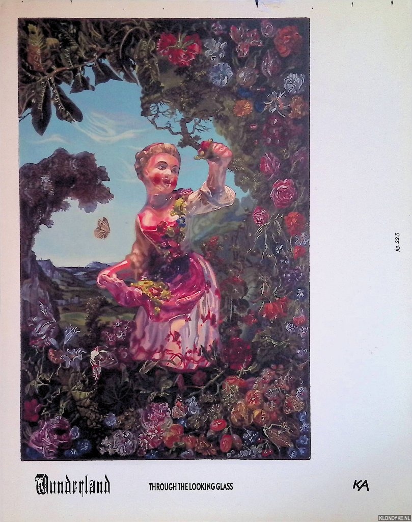Roos, Robert - Wonderland through the looking glass