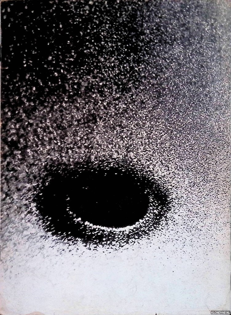 Redeker, Hans - Stedelijk Museum Amsterdam: Livinus: fotopeinture