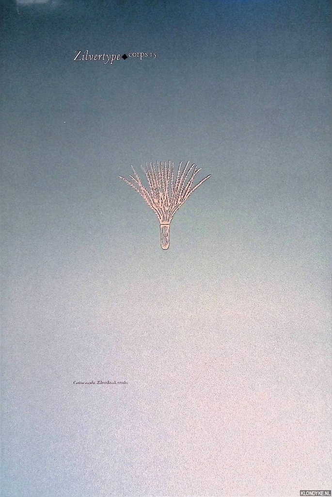 Boterman, Jan D. & Paul Hefting - Zilvertype Corps 15: briefwisseling tussen J.F. van Royen en S.H. de Roos over het ontwerp van de Zilvertype, 1914-16