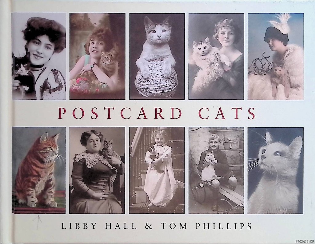 Hall, Libbt & Tom Phillips - Postcard Cats