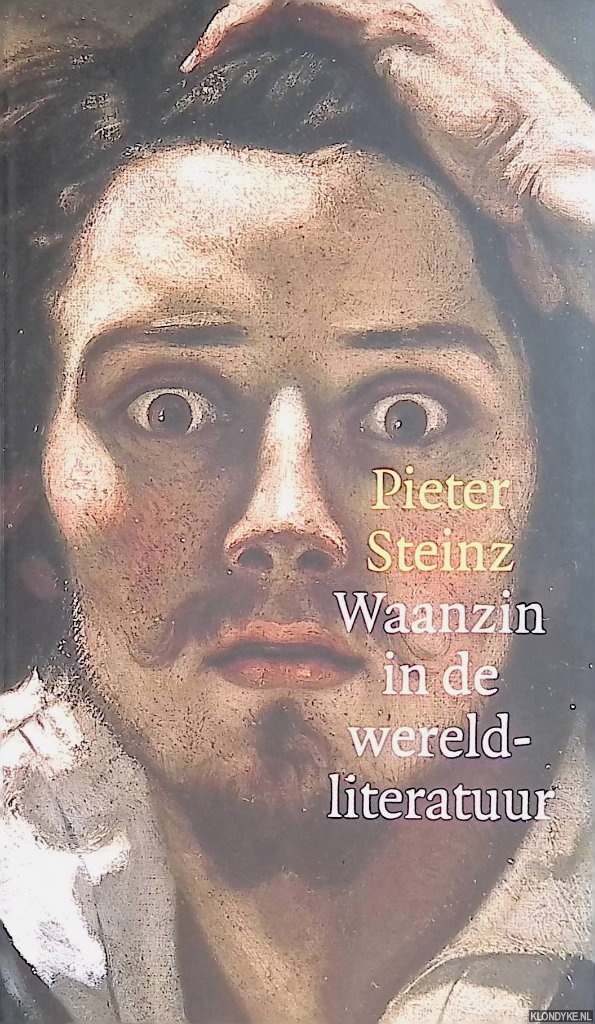 Steinz, Pieter - Waanzin in de wereldliteratuur
