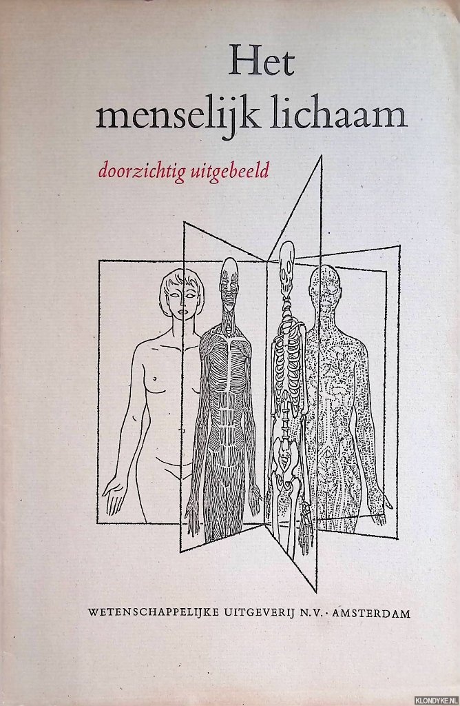 Niessing, prof.dr. K. (ontwerp) & Frans Masur (tekeningen) - Het menselijk lichaam doorzichtig afgebeeld