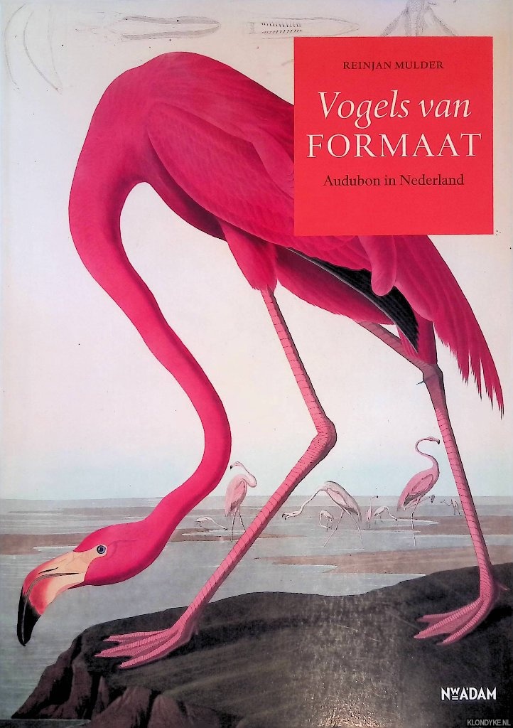 Mulder, Reinjan - Vogels van formaat: Audubon in Nederland