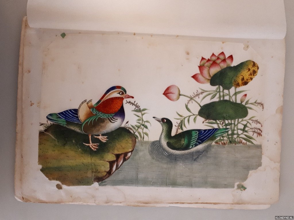- - Chinese export watercolours: Album with 13 watercolours, circa 1880-1900