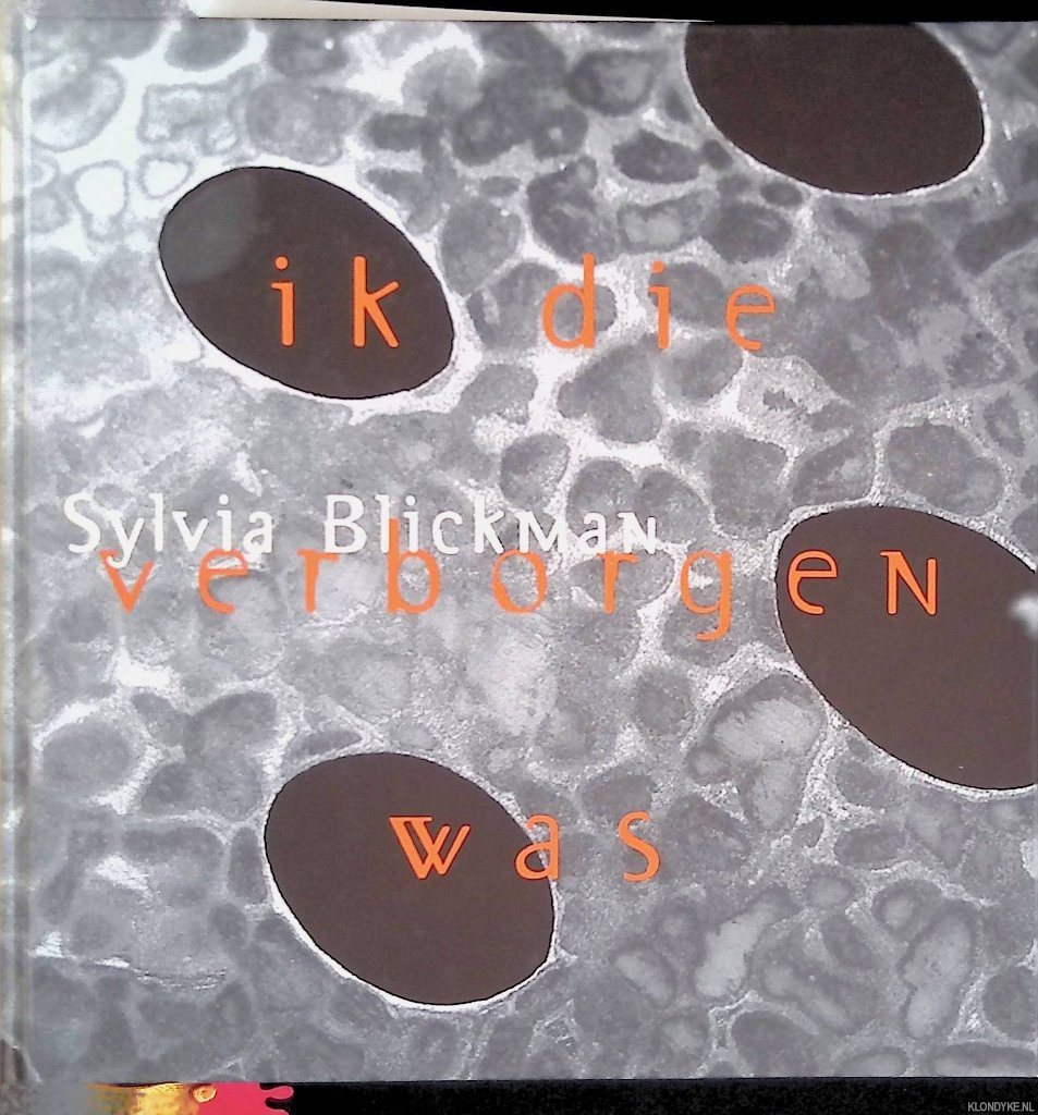 Besten, Liesbeth den - Sylvia Blickman: Ik die verborgen was: sandwichsieraden en objecten *GESIGNEERD*