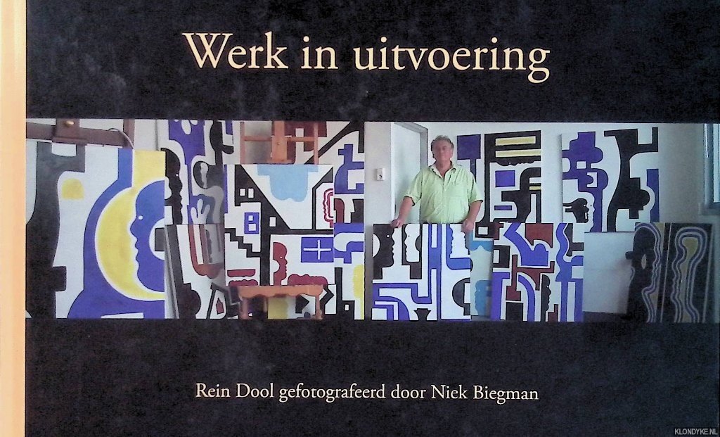 Biegman, Niek - Werk in uitvoering: Rein Dool gefotografeerd door Niek Biegman