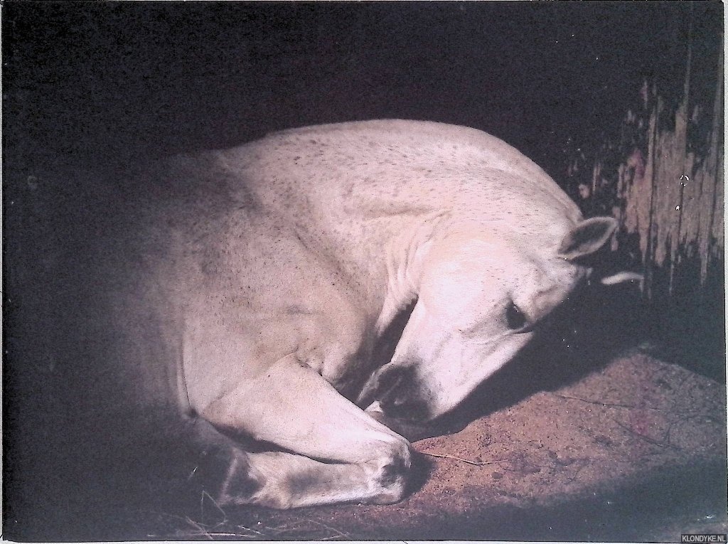 Dumas, Charlotte - Anima