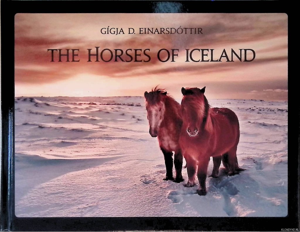 Einarsdottir Gigja D. - The Horses of Iceland