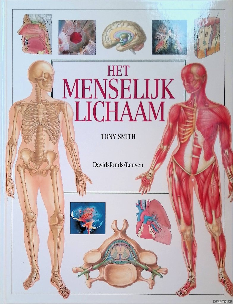 Smith, Tony - Het menselijk lichaam