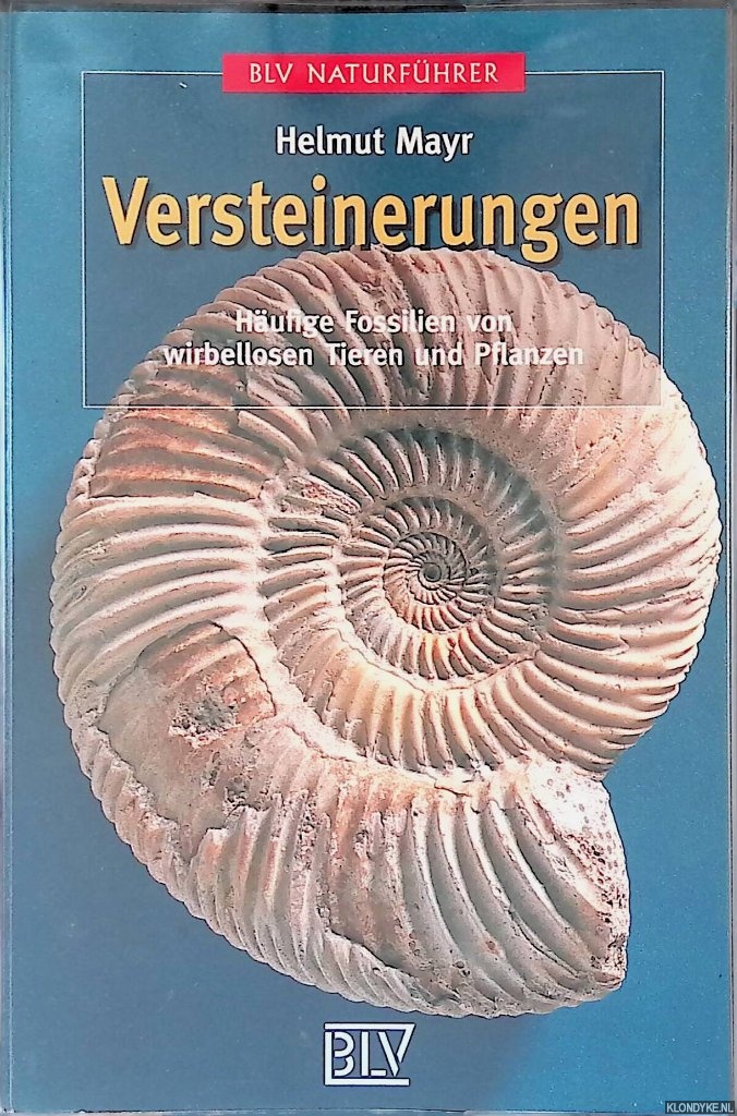 Mayr, Helmut - Versteinerungen: Hufige Fossilien von wirbellosen Tieren und Pflanzen