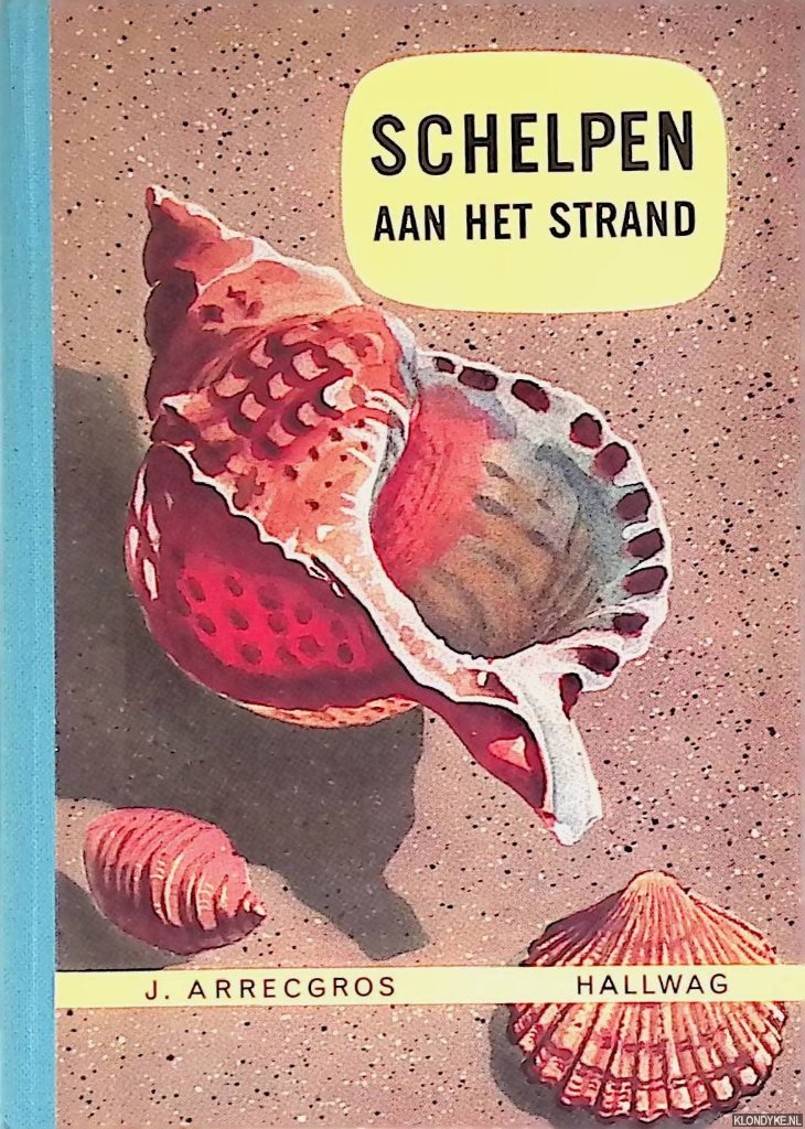 Arrecgros, Josette - Schelpen aan het strand