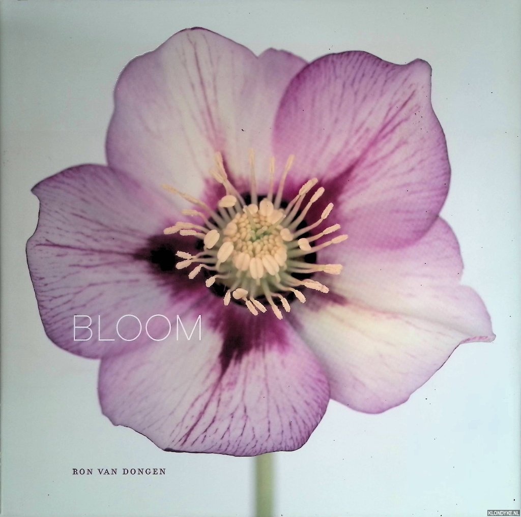 Dongen, Ron van - Bloom