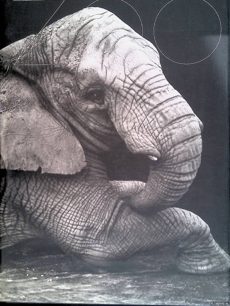 Gary Heery - Zoo