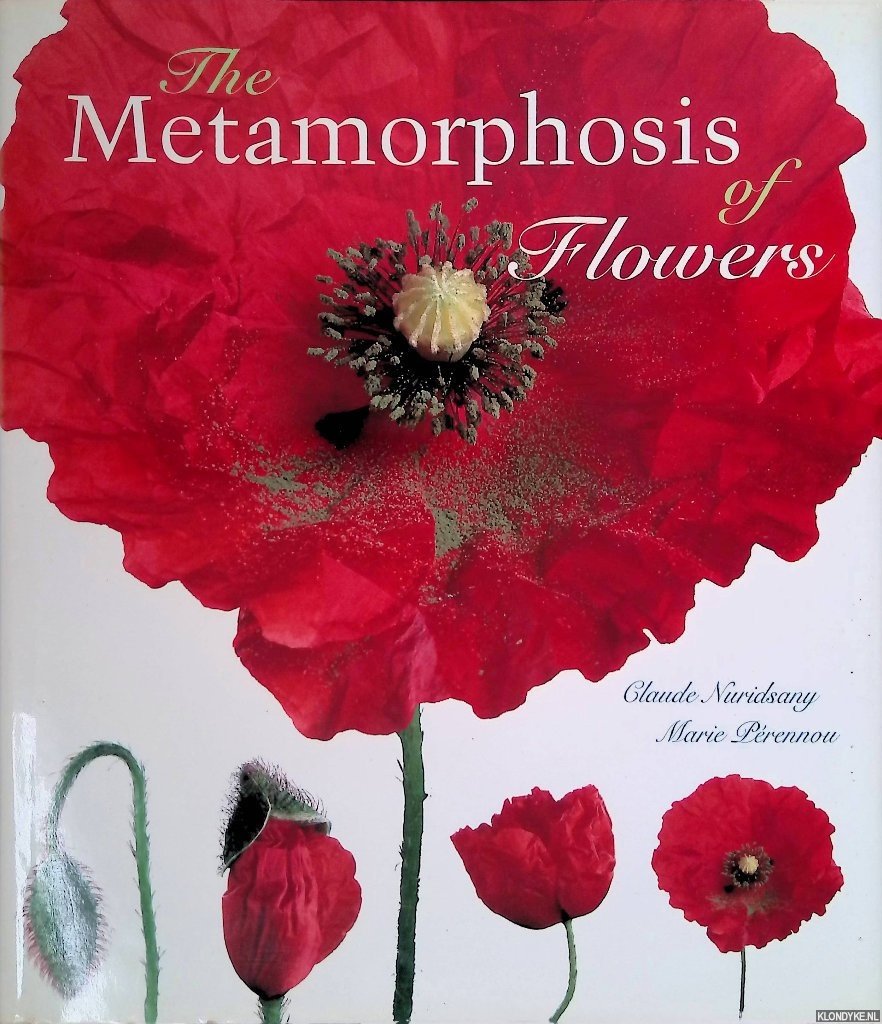 Perennou, Marie - The Metamorphosis of Flowers