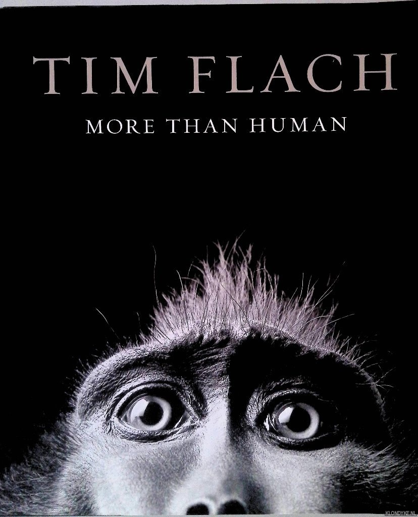 Blackwell, Lewis - More than Human