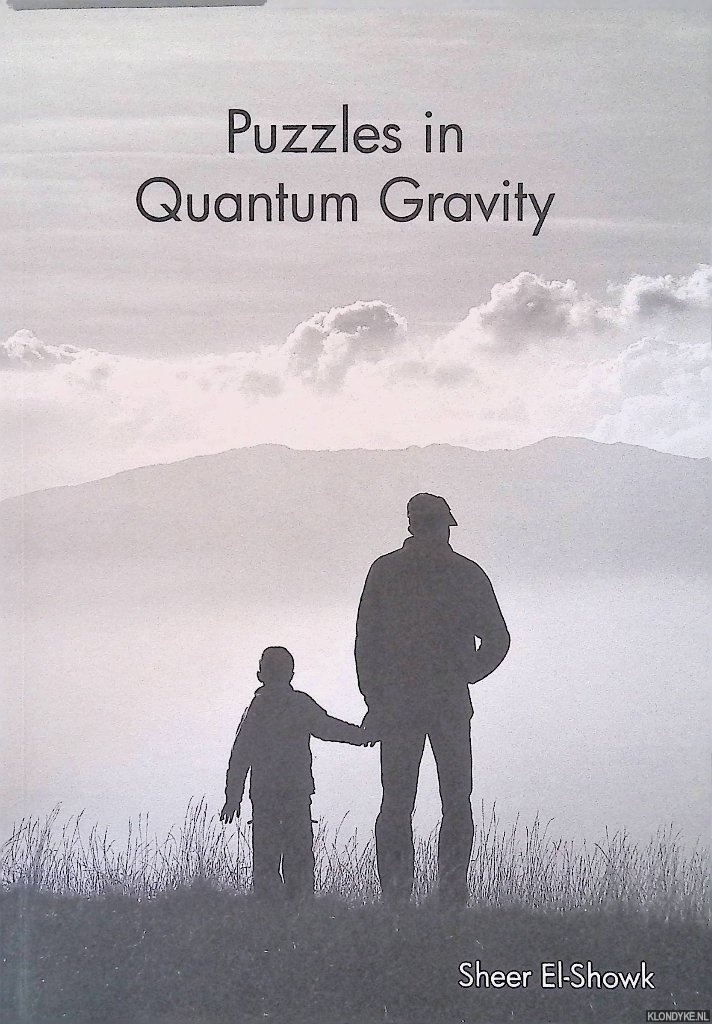 El-Showk, Sheer - Puzzles in Quantum Gravity