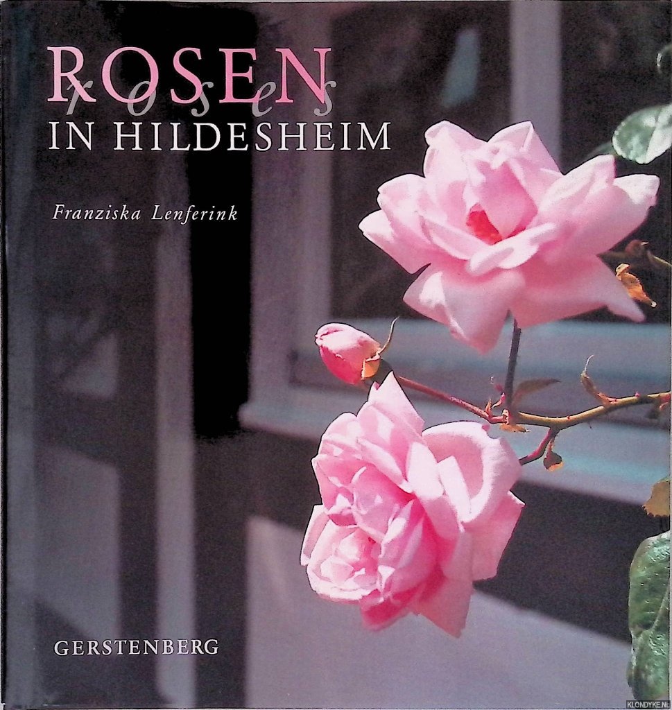 Lenferink, Franziska - Rosen in Hildesheim