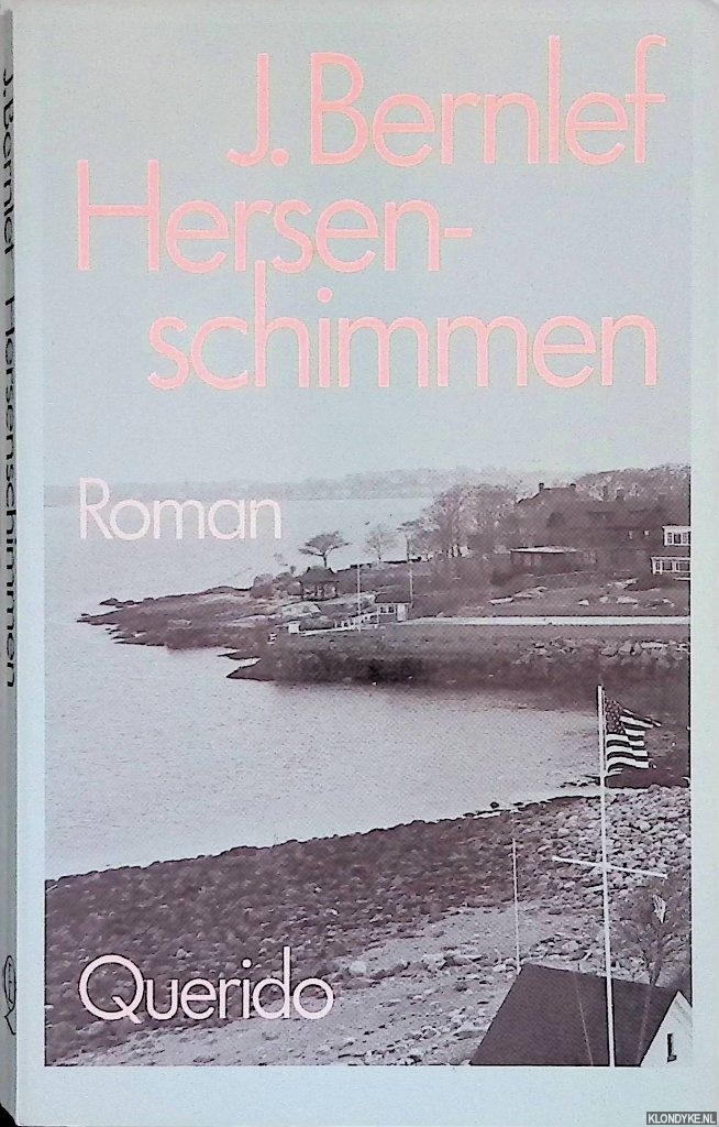 Bernlef, J. - Hersenschimmen