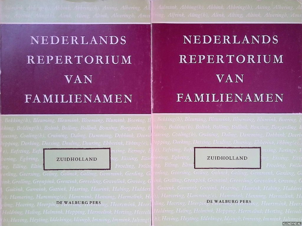 Meertens, P.J. & H. Buitenhuis (redactie) - Nederlands repertorium van familienamen XIII: Zuidholland (2 delen)