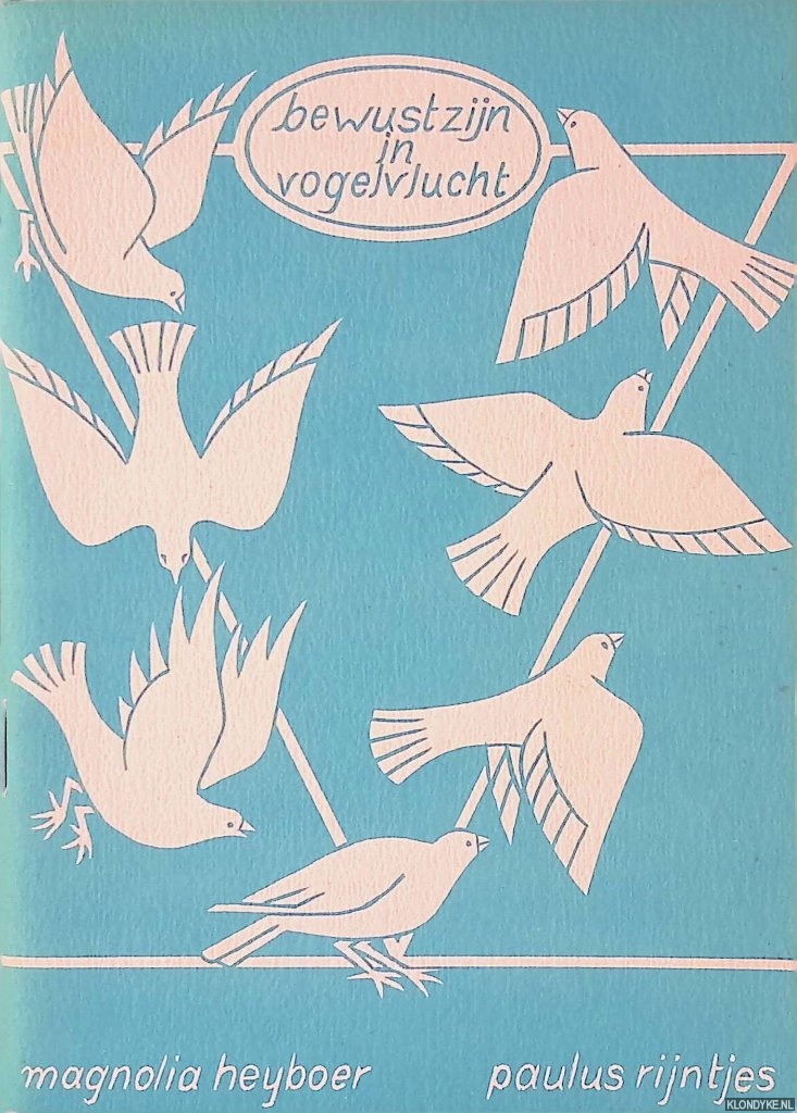 Heyboer, Magnolia & Paulus Rijntjes - Bewustzijn in vogelvlucht