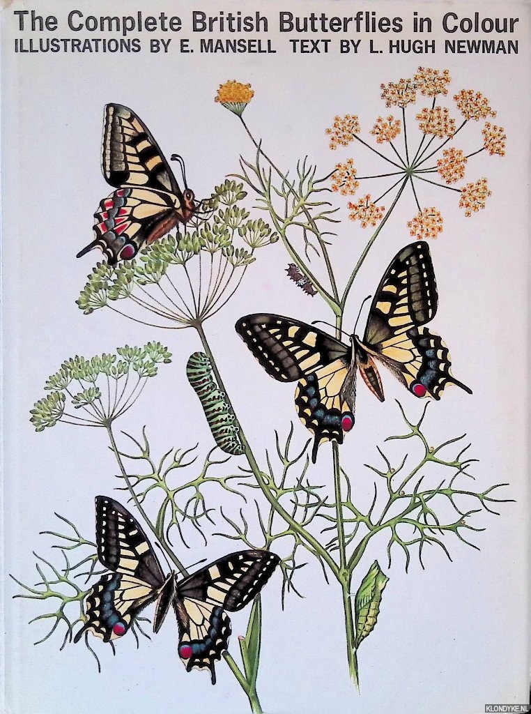 Newman, Hugh & E. Mansell (illustrations) - The Complete British Butterflies in Colour