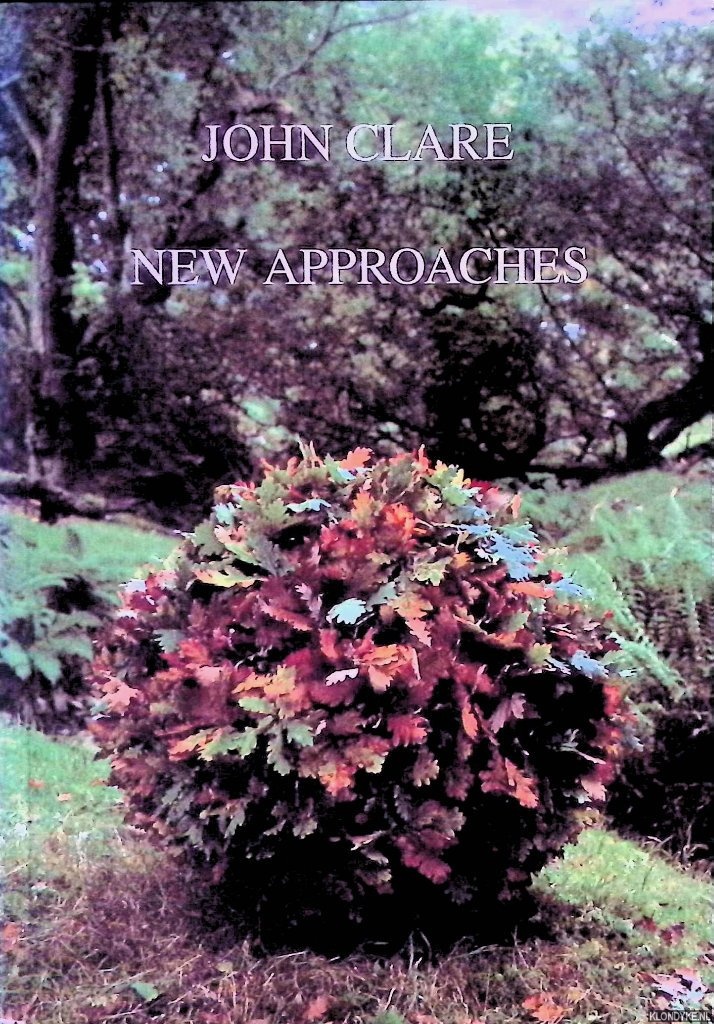 Goodridge, John & Simon Kvesi - John Clare: New Approaches