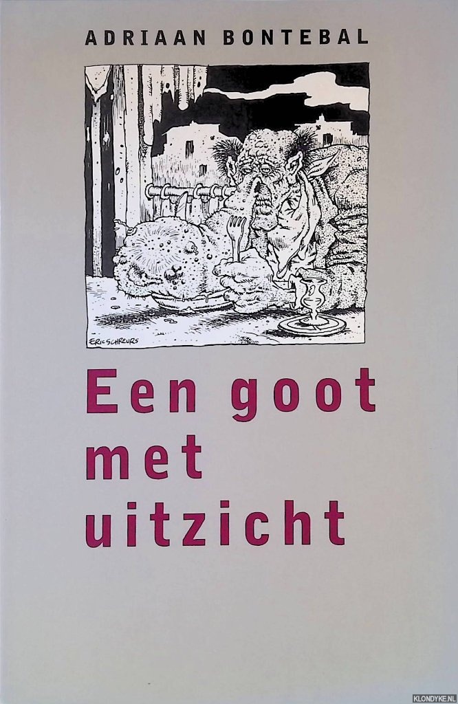 Bontebal, Adriaan - Een goot met uitzicht