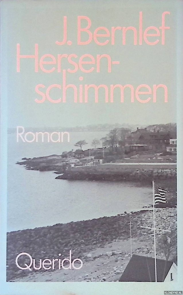 Bernlef, J. - Hersenschimmen