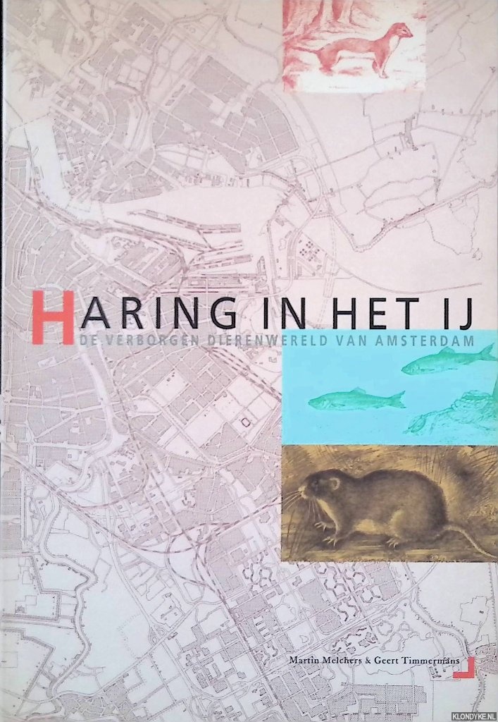 Melchers, Martin & Geert Timmermans - Haring in het IJ: De verborgen dierenwereld van Amsterdam