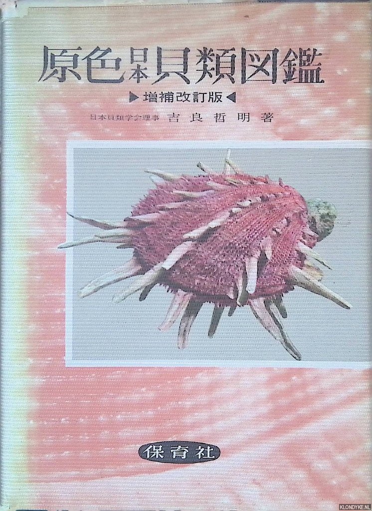 Kira, Tetsuaki - Coloured illustrations of the shells of Japan