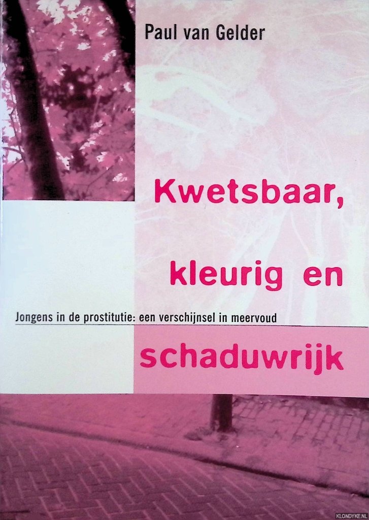 Gelder, Paul van - Kwetsbaar, kleurig en schaduwrijk: Jongens in de prostitutie: een verschijnsel in meervoud