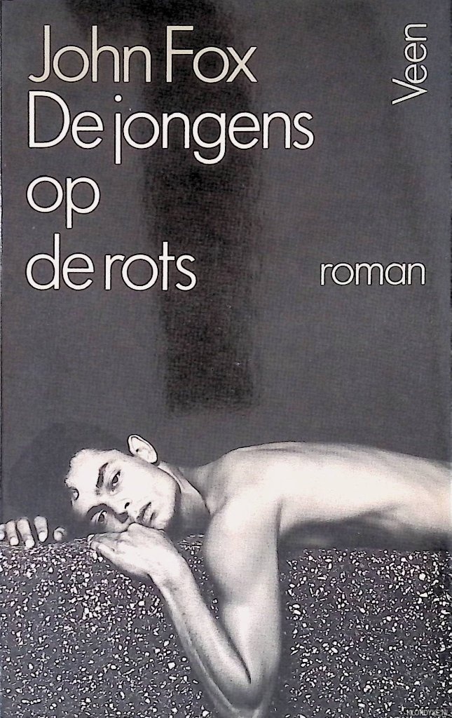 Fox, John - De jongens op de rots