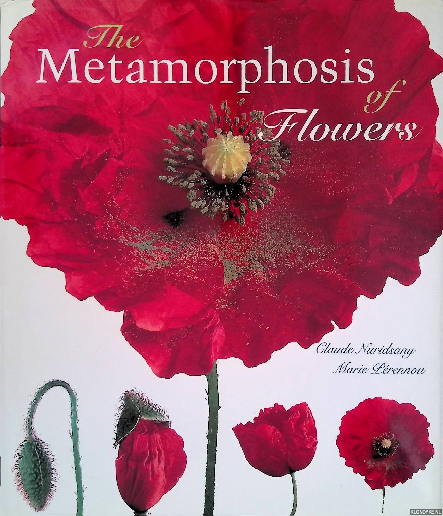 Nuridsany, Claude & Marie Prennou - The Metamorphosis of Flowers