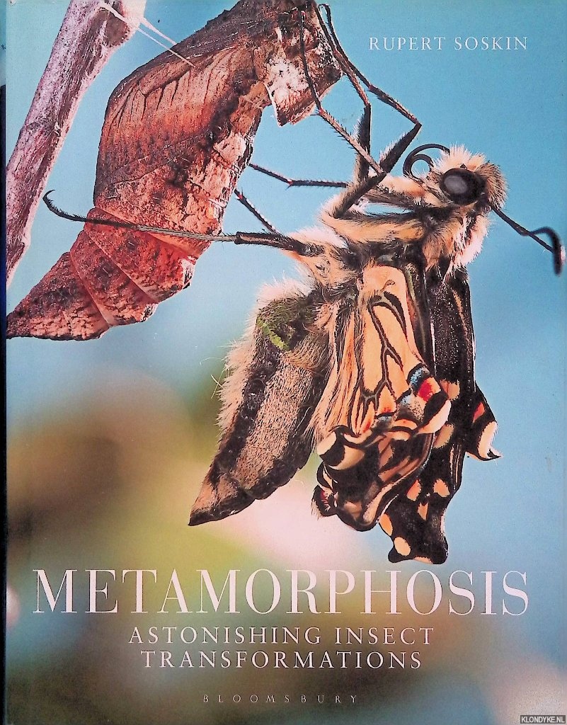 Soskin, Rupert - Metamorphosis: Astonishing Insect Transformations