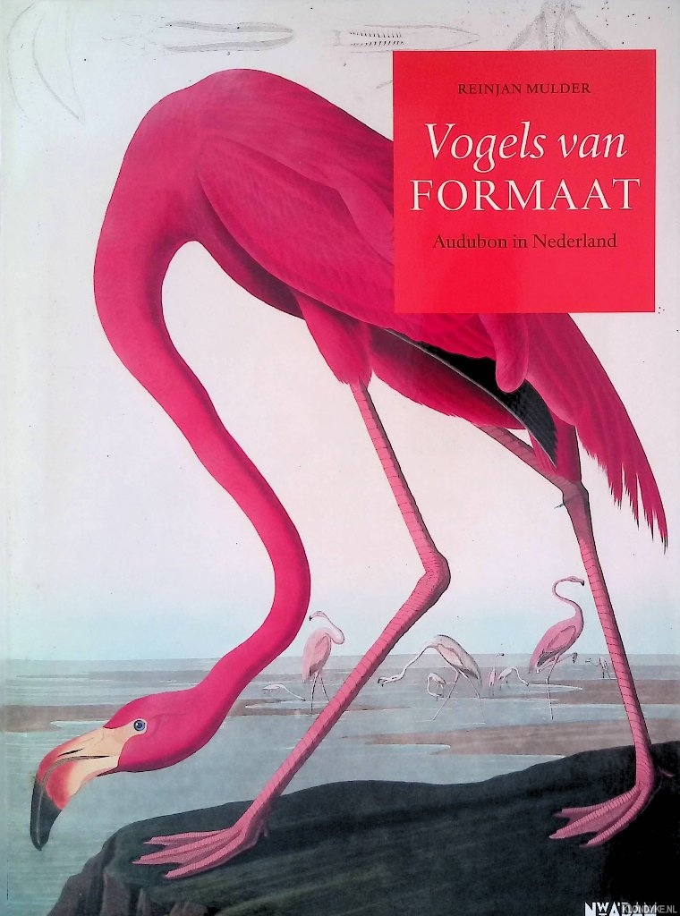 Mulder, Reinjan - Vogels van formaat: Audubon in Nederland