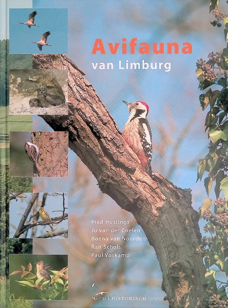 Hustings, Fred & Jo vn der Coelen & Ran Schols & Paul Voskamp - Avifauna van Limburg