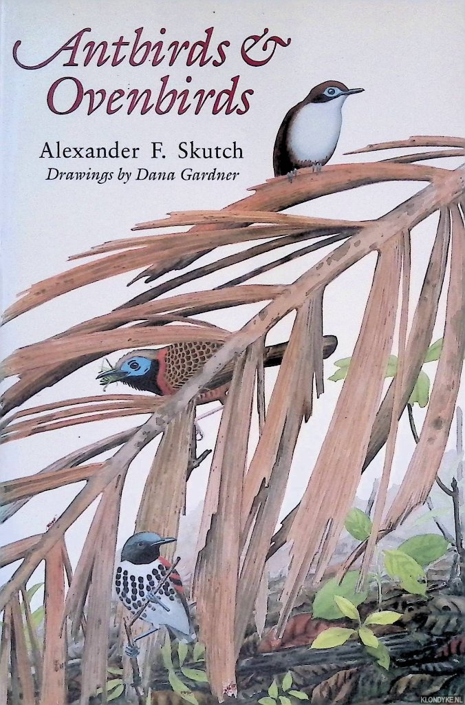 Skutch, Alexander F. - Antbirds and Ovenbirds: Their Lives and Homes