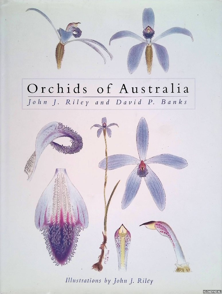Riley, John J. & David P. Banks - Orchids of Australia