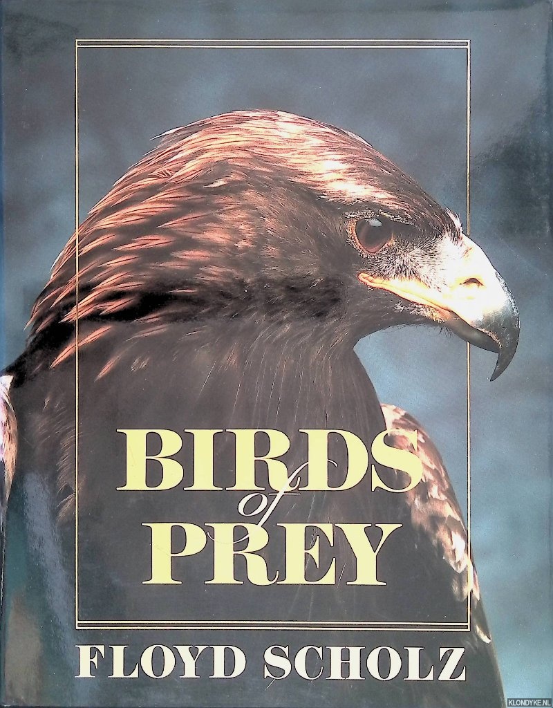 Scholz, Floyd - Birds of Prey