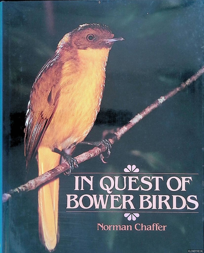 Chaffer, Norman - In Quest of Bowerbirds