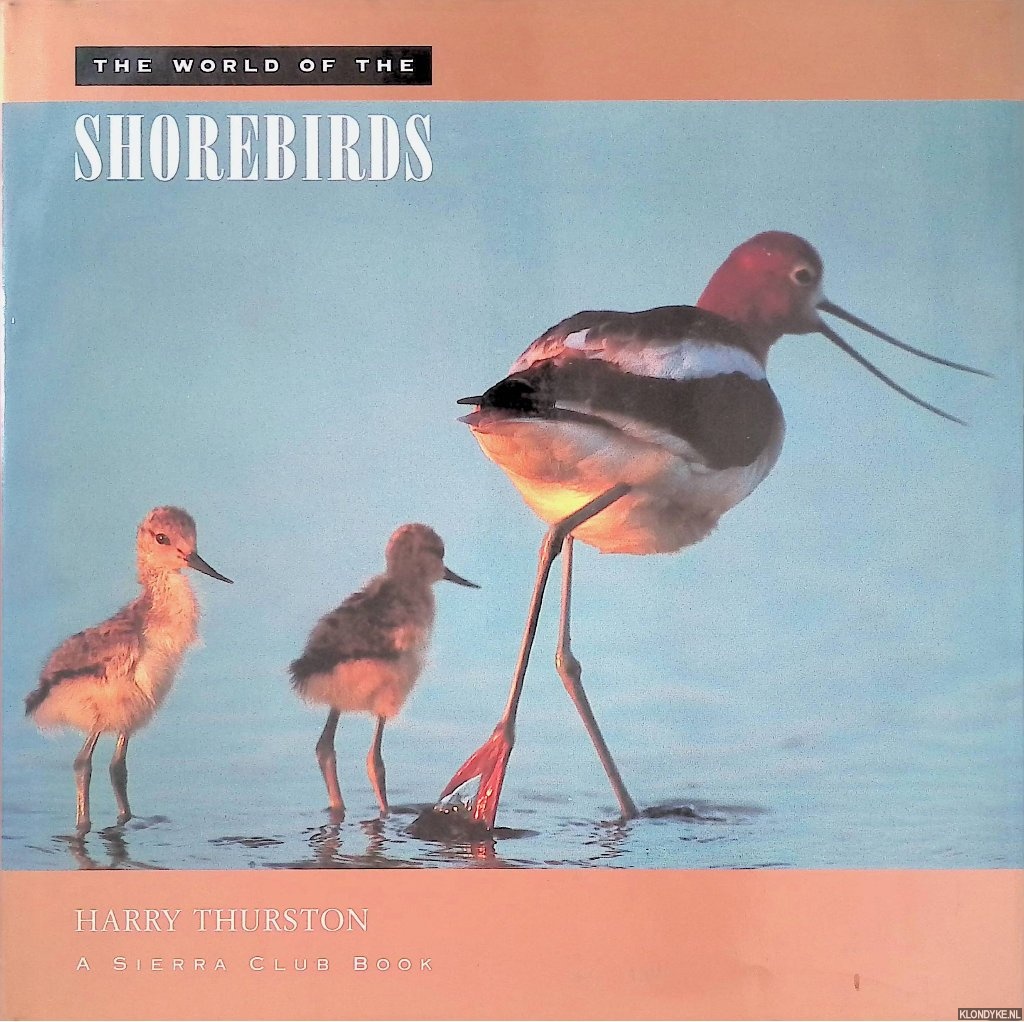 Thurston, Harry - The World of the Shorebirds